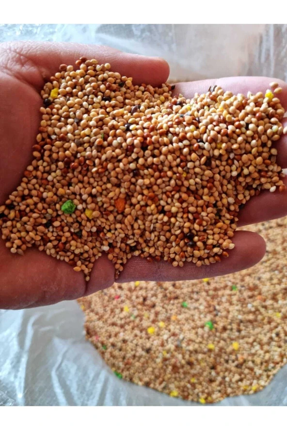 Muhabbet Kuşu Yemi Vitaminli Meyveli 1 Kg