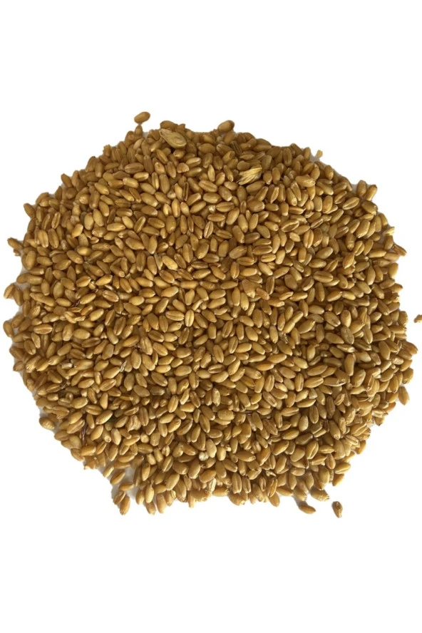 Şenler Zahire - Yemlik Buğday 15 Kg -Kuş-Tavuk-Kaz-Ördek-Güvercin Kanatlı Yemi