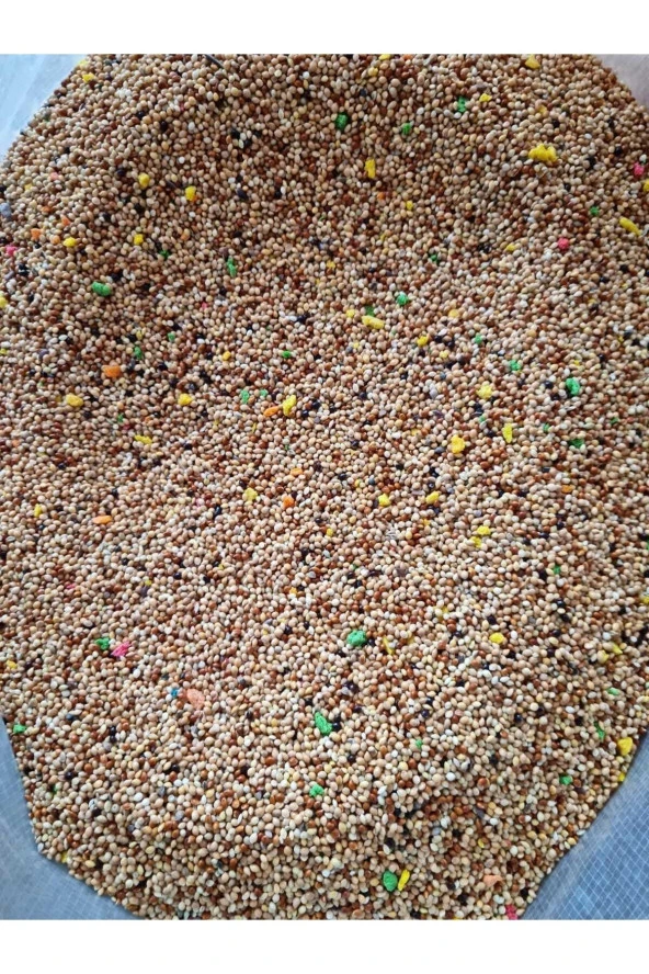 Muhabbet Kuşu Yemi Vitaminli Meyveli 1 Kg - 3