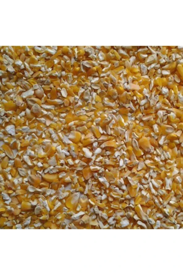 Şenler Zahire - Yemlik Mısır Kırık Mısır 2 Kg Tavuk Yemi Kuş Yemi Güvercin Yemi Hayvan Yemi - 3