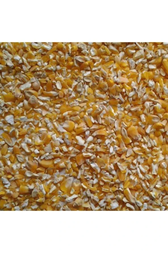 Şenler Zahire - Yemlik Mısır Kırık Mısır 10 Kg Tavuk Yemi Kuş Yemi Güvercin Yemi Hayvan Yemi - 3