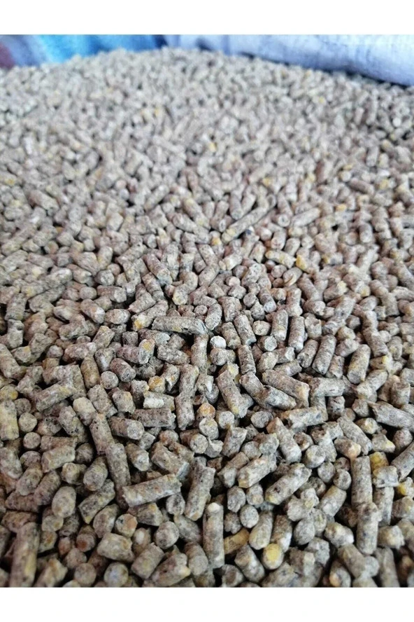 Koz Yem - 15 Kg Gezen Tavuk Yumurta Yemi Pelet  (Tüm Kanatlılar Için Uygundur) - 3
