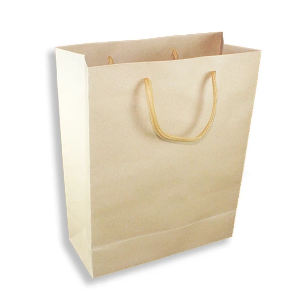12 Adet 19x24cm Adet Kraft Karton Hediyelik Çanta - 2