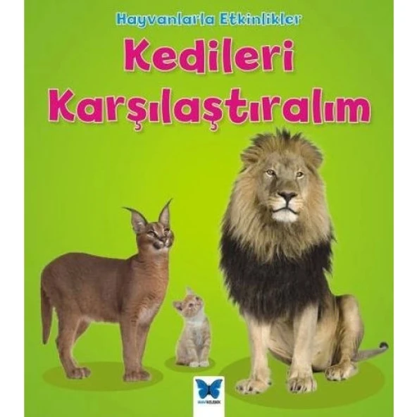 Hayvanlarla Etkinlikler - Kedileri Karşılaştıralım ürün görseli 1