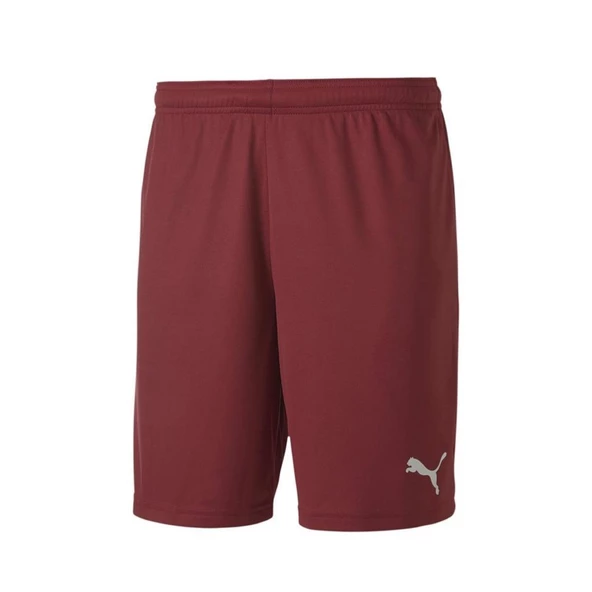 Puma 704262 Teamgoal 23 Knit Shorts Bordo