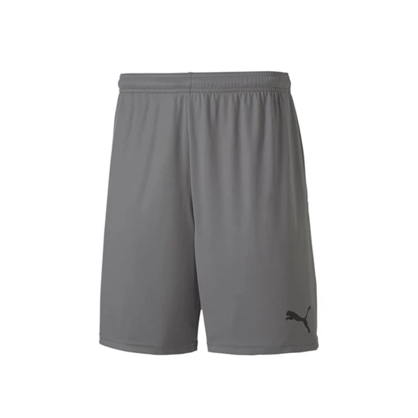 Puma 704262 Teamgoal 23 Knit Shorts Gri