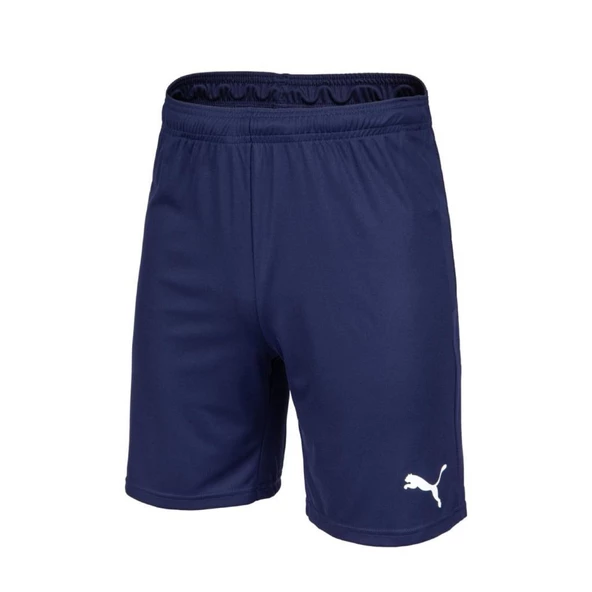 Puma 704262 Teamgoal 23 Knit Shorts Lacivert