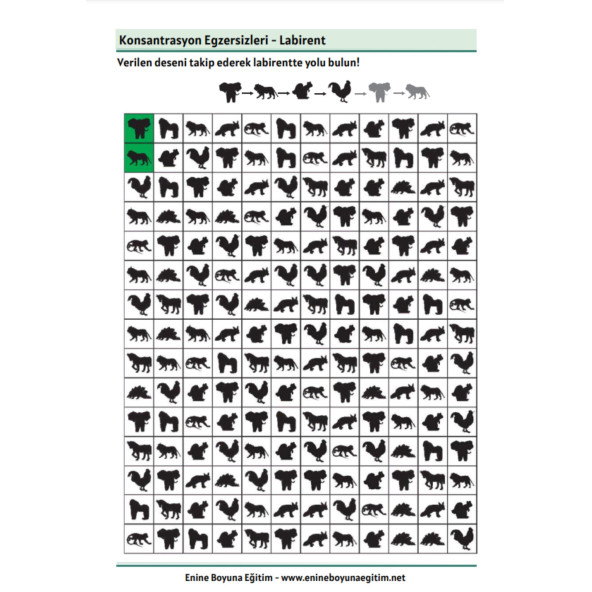 Eğlenceli BİLSEM Hazırlık Seti (6 Süper Kitap) - 4