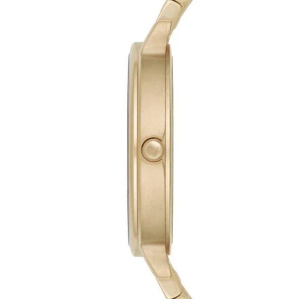 Emporio Armani AR11007 Kadın Kol Saati - Resim 2