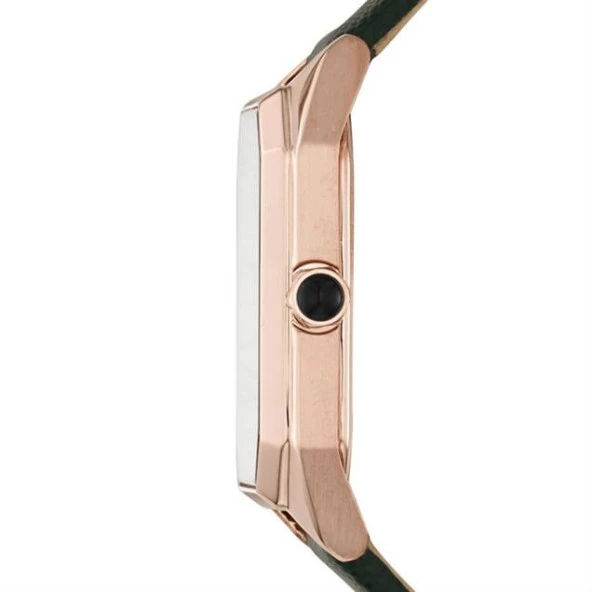 Emporio Armani AR11149 Kadın Kol Saati - Resim 2