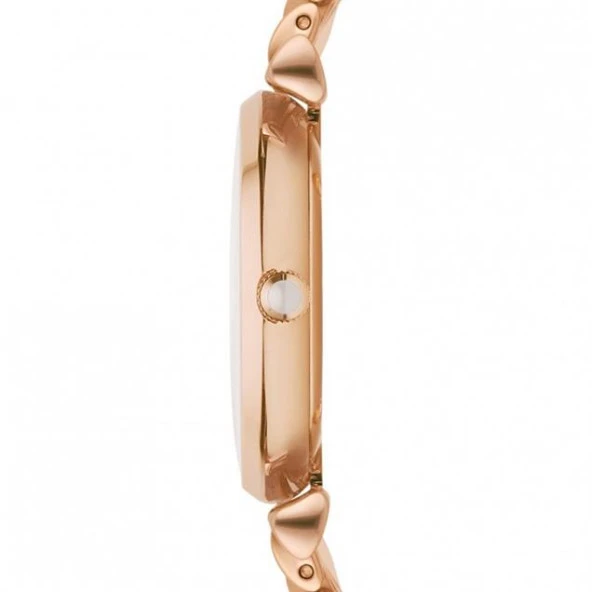 Emporio Armani AR1909 Kadın Kol Saati - Resim 2