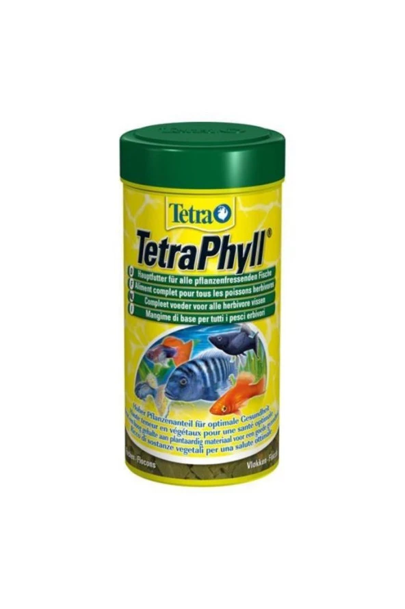 Tetra Phyll Pul Yem 1000 ml