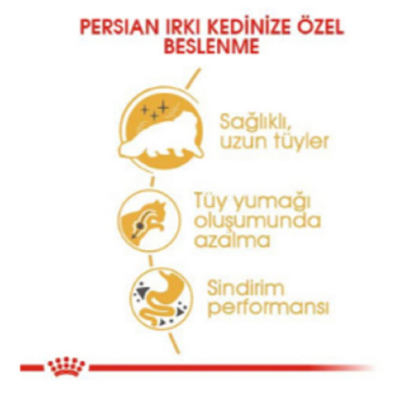 Royal Canin Persian İran Kedileri İçin Yetişkin Kuru Kedi Maması 4 kg - 2
