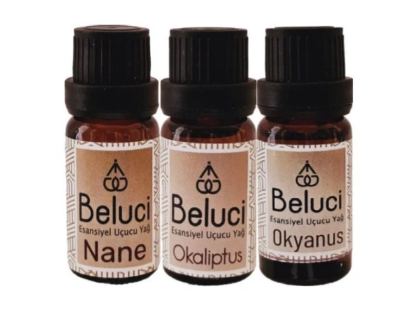 Nane + Okaliptus + Okyanus (Oda Kokusu Aroma Terapi Buhurdanlık/Difüzör Yağı) Set 3 Adet x 10 ml