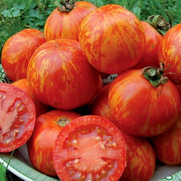 Kozula 133 Domates Tohumu(15 adet) ürün görseli 1