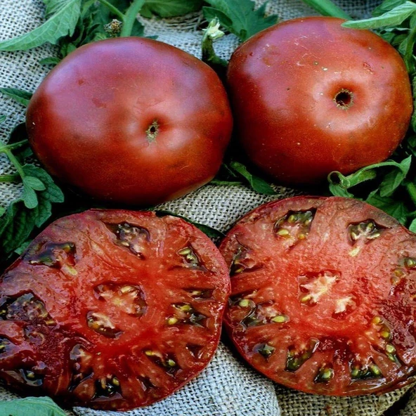 Black Krim Domates Tohumu (15 tohum) ürün görseli