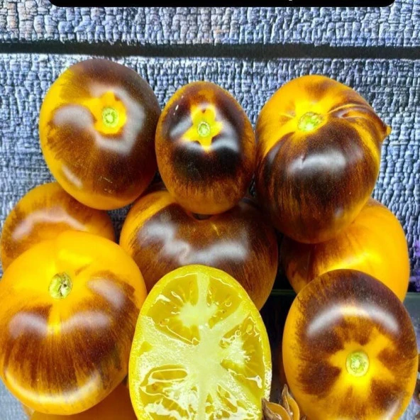 Wolverine Domates Tohumu (15 tohum) ürün görseli 1