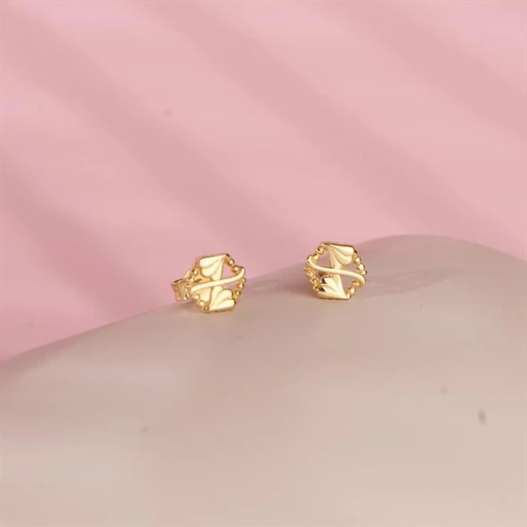 14 Ayar Altın Modern Küpe 1,31 gr