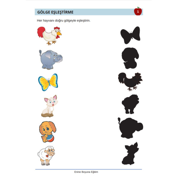 Beyin ve Zihin Geliştiren Eğitim Seti (5-12 YAŞ) - Resim 2