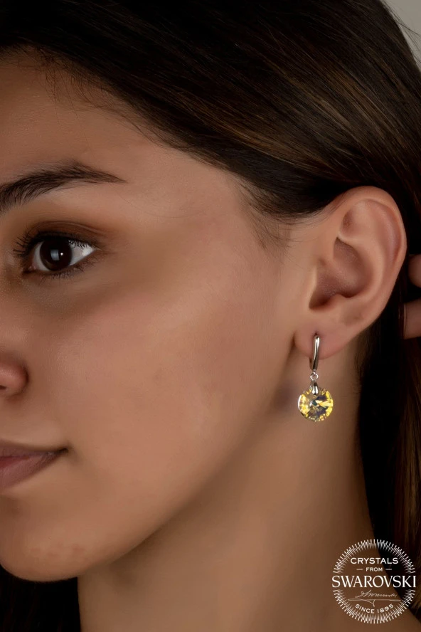 Swarovski Crystal Kadın Yuvarlak Gümüş Küpe