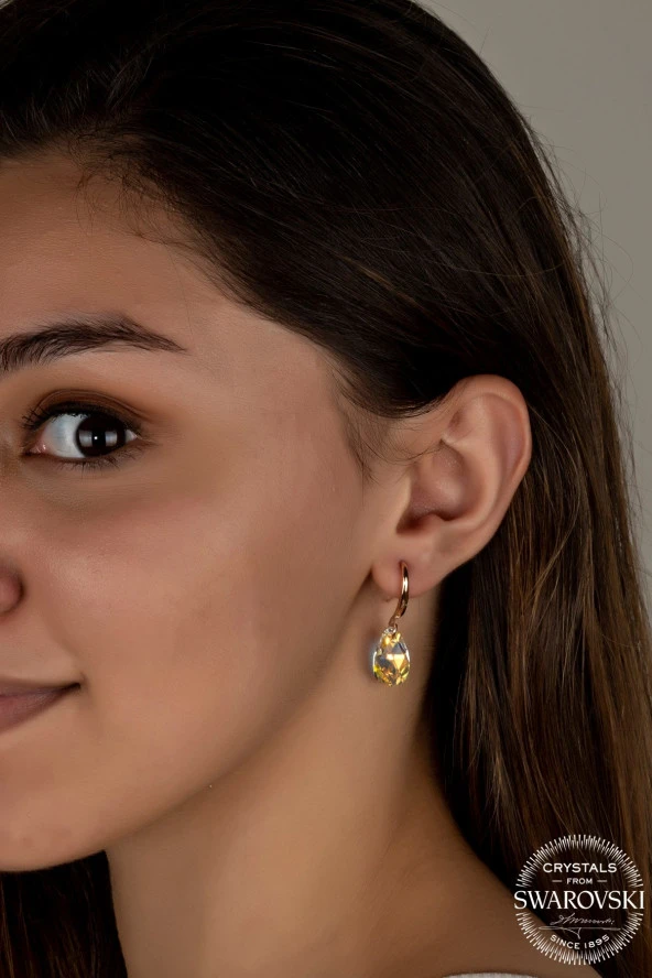 Swarovski Crystal Kadın Parlak Damla Rose Gümüş Küpe - 3