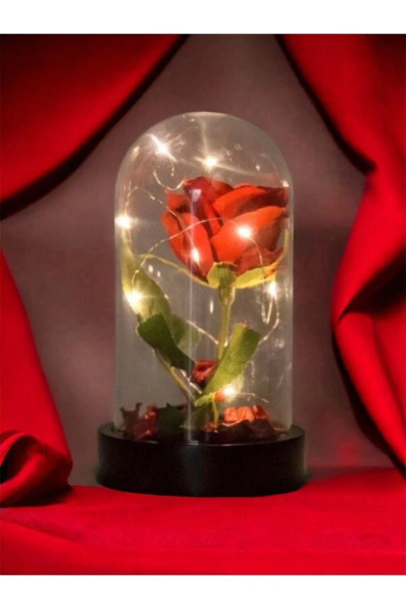 Fanusta Led Işıklı Kırmızı Yapay Gül Sevgiliye Özel Dekoratif Hediye Sevgililer Günü