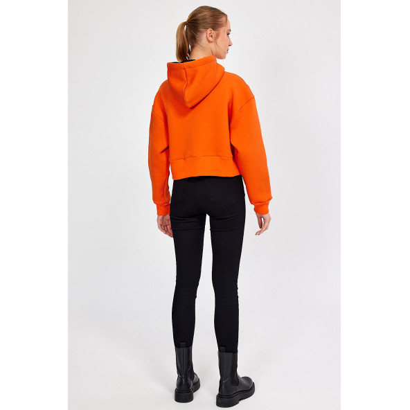ALEXANDERGARDI Kapüşonlu Şardonlu Crop Hırka (B23-31303) - 5
