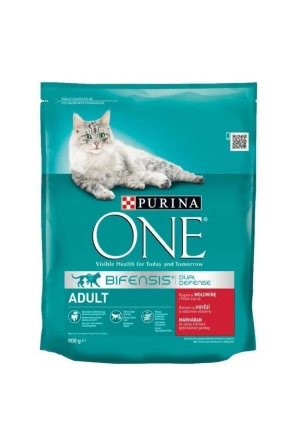 Purina One Sığır Etli Yetişkin Kedi Maması 800 gr