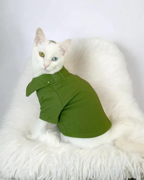 Grass Green Kedi Gömleği Kedi Kıyafeti  Kedi Elbisesi - 2