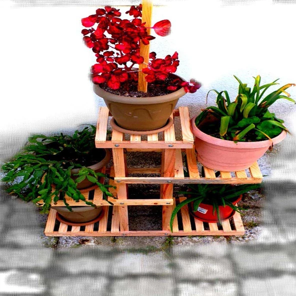 MODİLAYN Ahşap 5 Raflı Balkon Saksı Standı Bahçe Saksılık Çiçek Rafı - 2