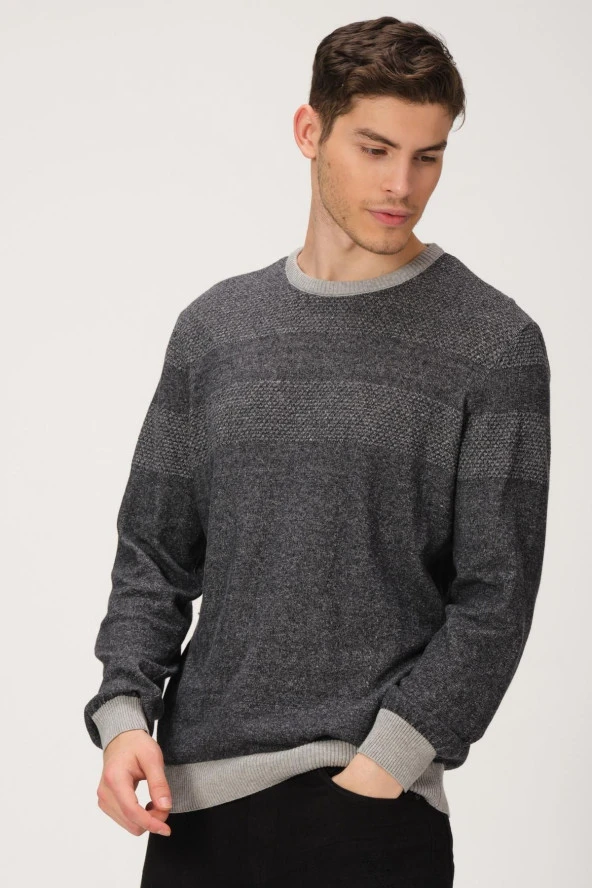 ALEXANDERGARDI Desenli Bisiklet Yaka Kazak (e20-5122) - Resim 2