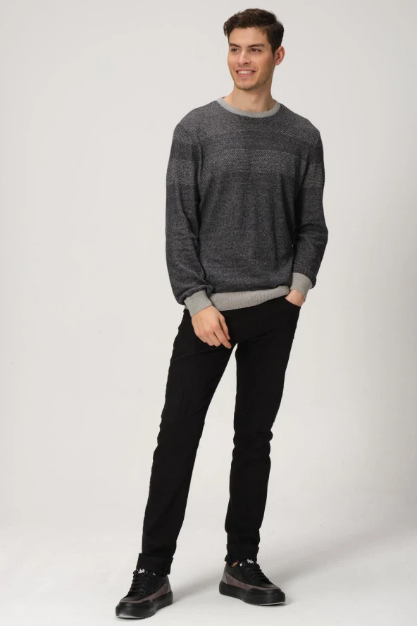 ALEXANDERGARDI Desenli Bisiklet Yaka Kazak (e20-5122) - Resim 3