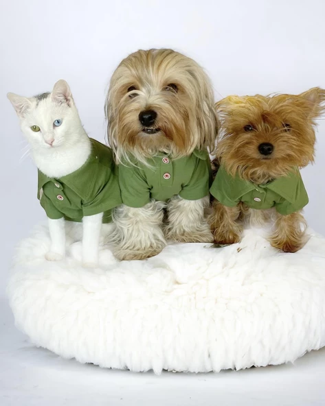 Grass Green Köpek Gömleği Köpek Kıyafeti Köpek Elbisesi