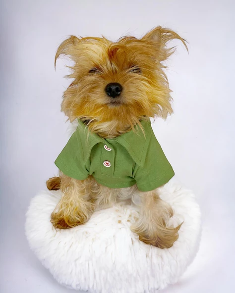 Grass Green Köpek Gömleği Köpek Kıyafeti Köpek Elbisesi - 2