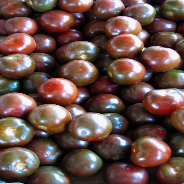 Aromalı Black Prince Domates Tohumu (15 tohum) ürün görseli