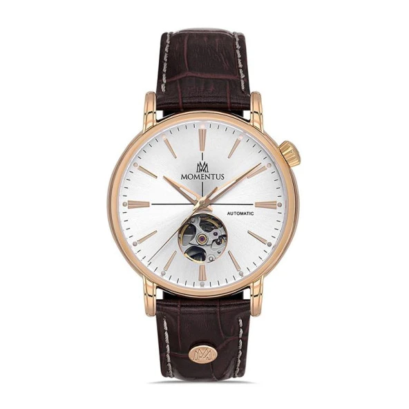 Momentus Men's Time Masters TM349R-02BR Erkek Kol Saati - 1