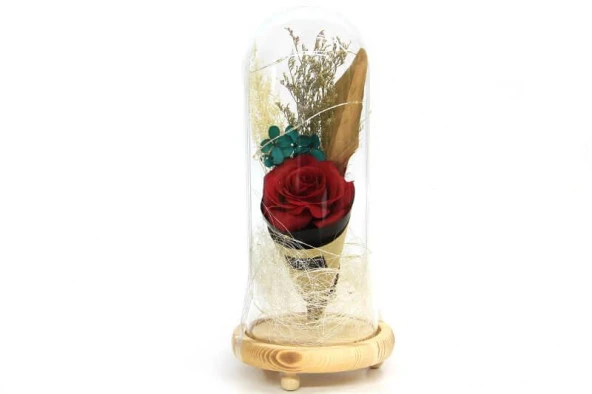 Fanus Gül 28/12cm Cam Fanus Led Işıklı Hediyelik - Resim 3