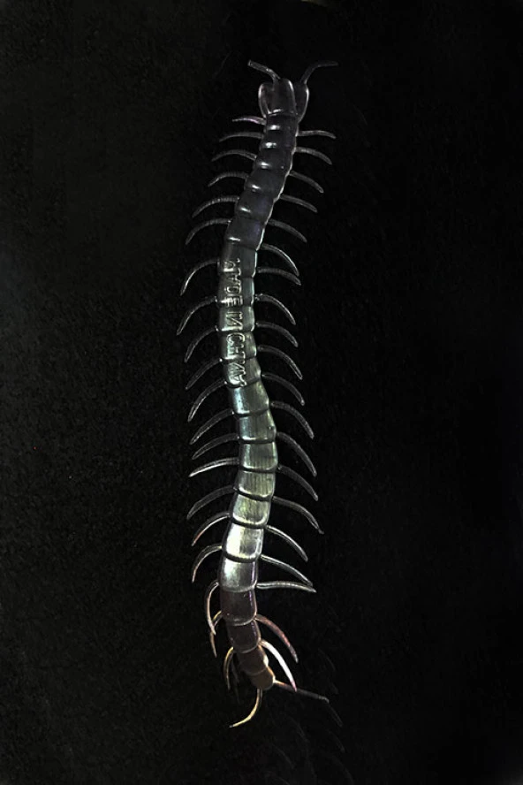 Şeffaf Renk Karanlıkta Parlayan Fosforlu Kırkayak 13 cm 1 Adet - Resim 2