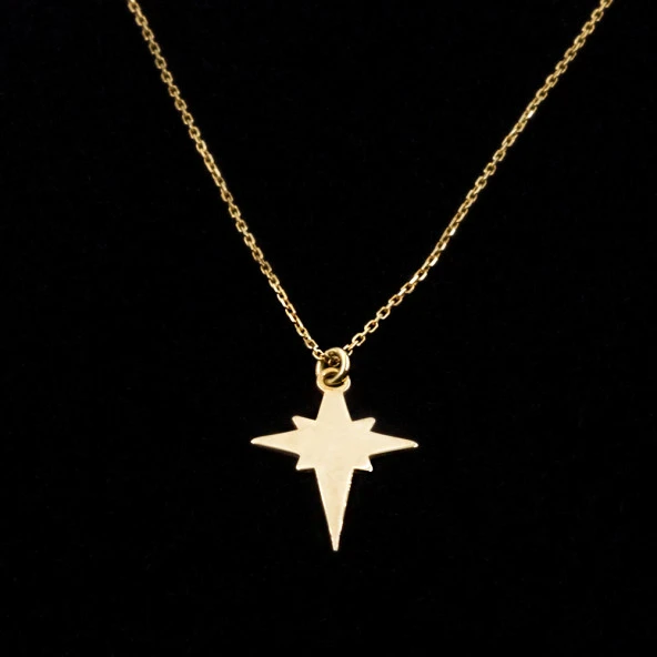 Kutup Yıldızı Altın Kolye - 14Ayar