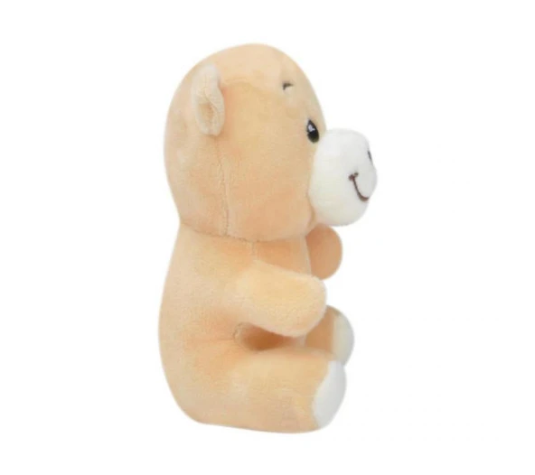 Ayı 20 cm Pelüş Ayı Çocuk Oyuncak - Resim 2
