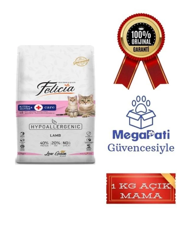 Felicia 1 kg Açık Kitten & Mother Kuzu Etli Yavru ve Anne Kedi Maması