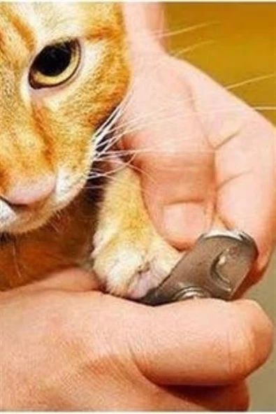 Evcil Hayvan Tırnak Makası Törpü Seti Kaymaz Sap Manikür Pedikür Pati Bakım Aleti - 11