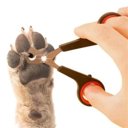 Evcil Hayvan Tırnak Makası Törpü Seti Kaymaz Sap Manikür Pedikür Pati Bakım Aleti - 5