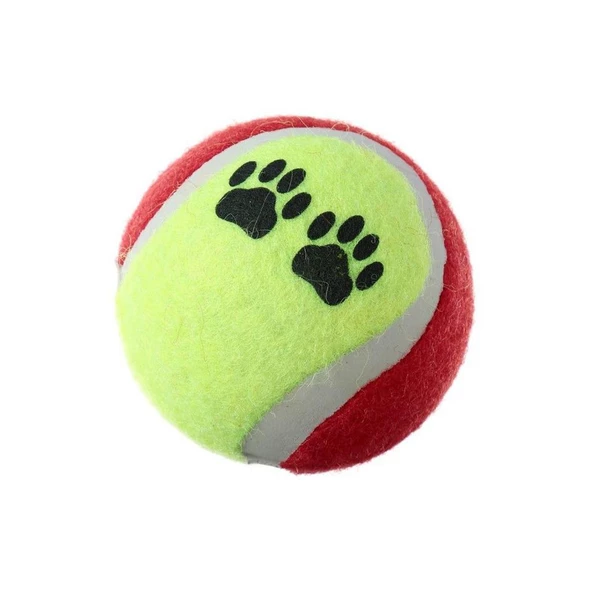 Tenis Topu Üçlü Renkli Desenli Kedi Köpek Oyuncağı