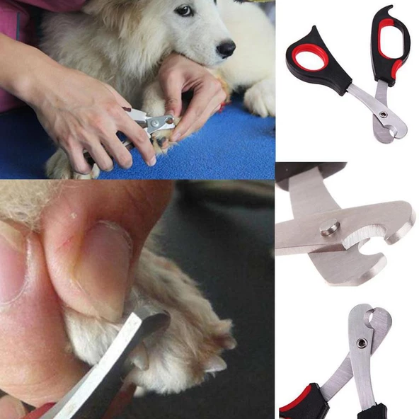 Pati Bakım Aleti Ergonomik Kaymaz Köpek Kedi Çelik Uçlu Evcil Hayvan Tırnak Makası - 7