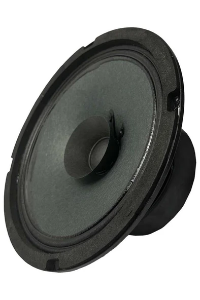 Lastvoice AYN-6 Full Kağıt 100 Watt 8 Ohm 16 cm 6 İnç Hoparlör (Adet) - Resim 4