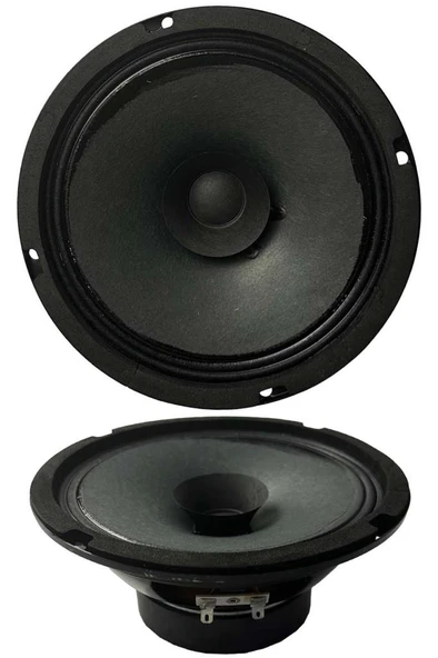 Lastvoice AYN-6 Full Kağıt 100 Watt 8 Ohm 16 cm 6 İnç Hoparlör (Adet) - Resim 3
