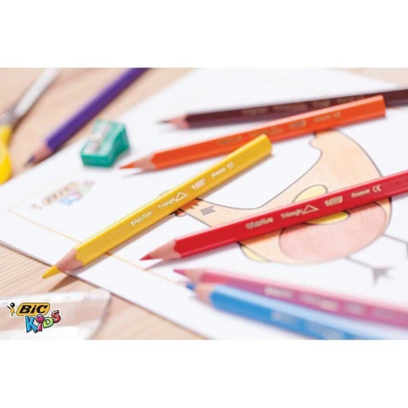 Bic Evolution Üçgen Jumbo Kuru Boya 12'li - 2
