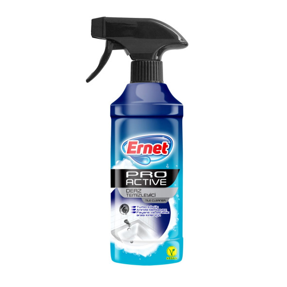 Ernet Pro Active Derz Temizleyici 435 Ml