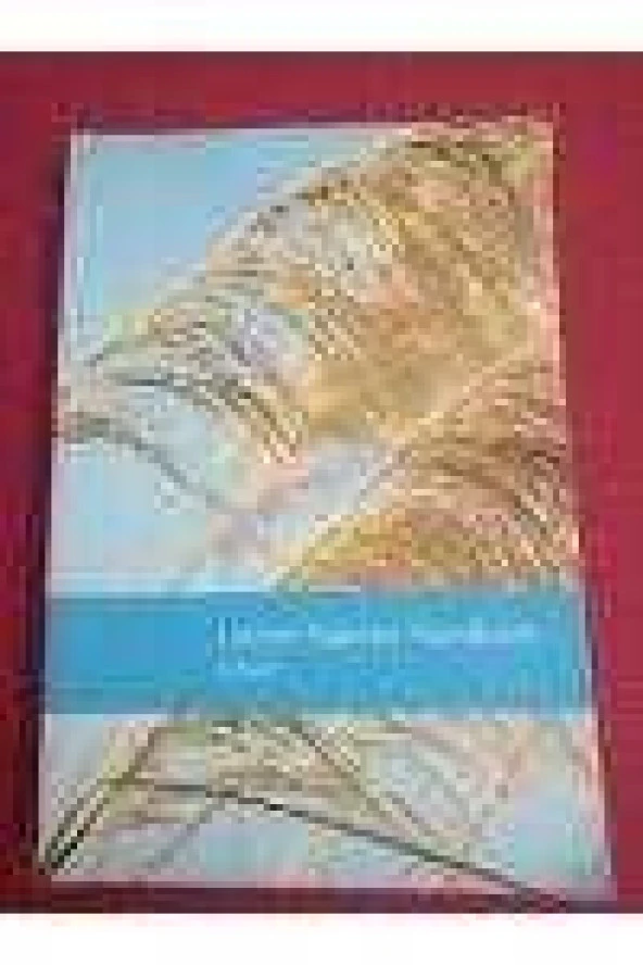 United Nations Handbook  2006/07 - 1